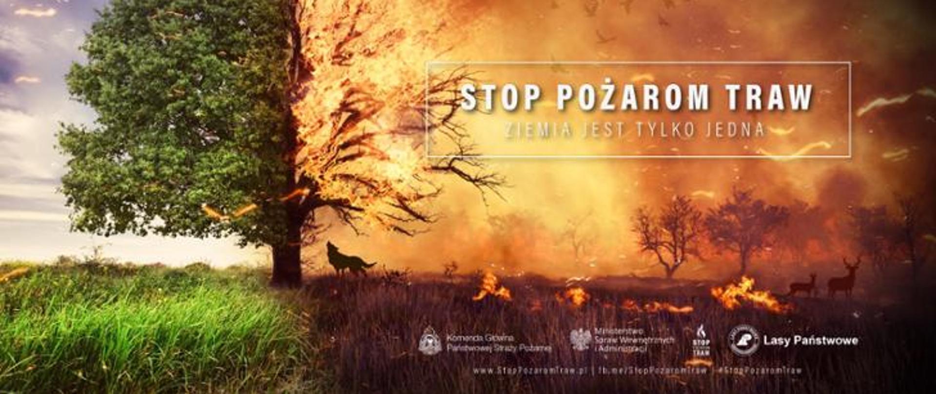 Grafika promująca kampanię społeczną Stop Pożarom Traw. Na grafice umieszczone po jednej stronie drzewo i zielona trawa, po prawej trawa i drzewa objęte ogniem. 