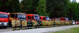 powiatowe ćwiczenia podmiotów ksrg Jeżowe 2024 strażacy osp i psp podczas działań