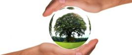 Zielona Tarcza: Wojewódzkie Fundusze Ochrony Środowiska i Gospodarki Wodnej wspierają przedsiębiorców w czasie epidemii