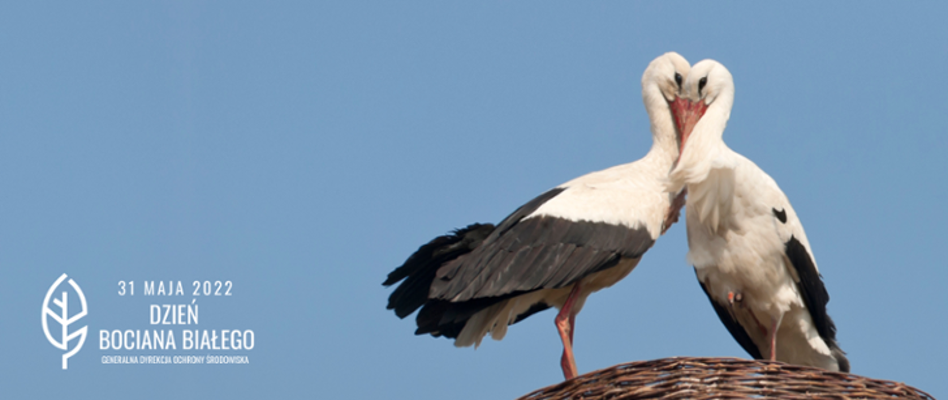 Dwa ptaki - bociany białe (o białych i czarnych piórach, czerwonych nogach i dziobach) stoją na gnieździe w kolorze brązowym. W tle błękitne niebo. W prawym dolnym rogu biały napis: 31 maja 2002 Dzień Bociana Białego (biały liść) i logo Generalnej Dyrekcji Ochrony Środowiska.