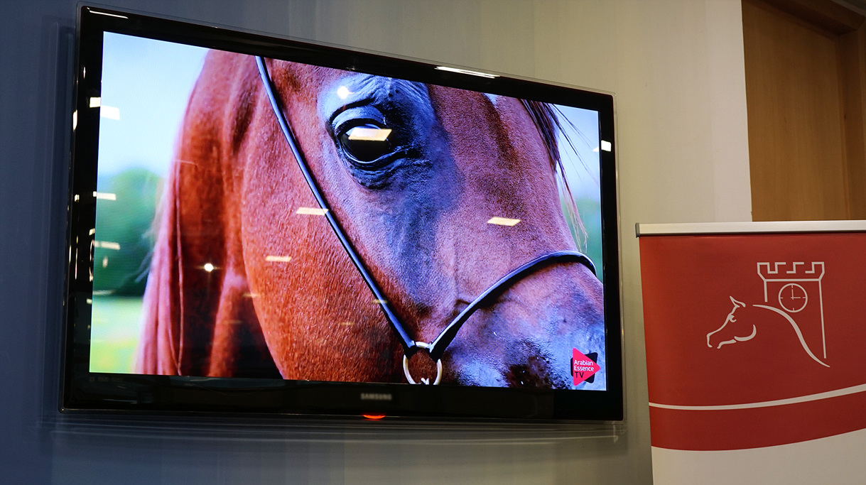 Konie z Janowa Podlaskiego na prezentacji multimedialnej wyświetlanej podczas konferencji