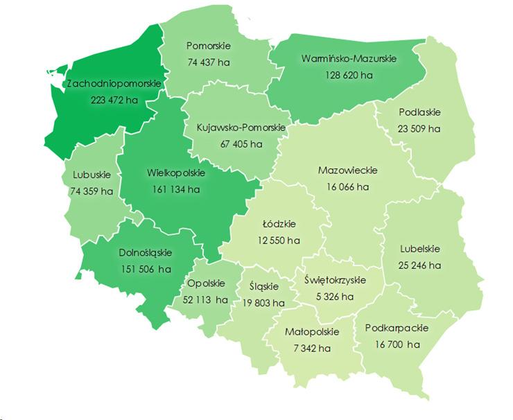 Rys. 1. Powierzchnia gruntów Zasobu WRSP pozostająca w dzierżawie wg stanu na 30 czerwca 2024 r., wg województw (w ha) 