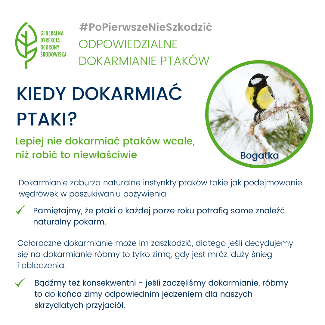 #PoPierwszeNieSzkodzić - odpowiedzialne dokarmianie ptaków