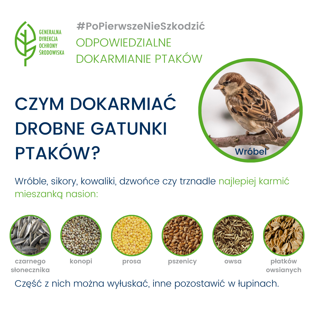 #PoPierwszeNieSzkodzić - odpowiedzialne dokarmianie ptaków