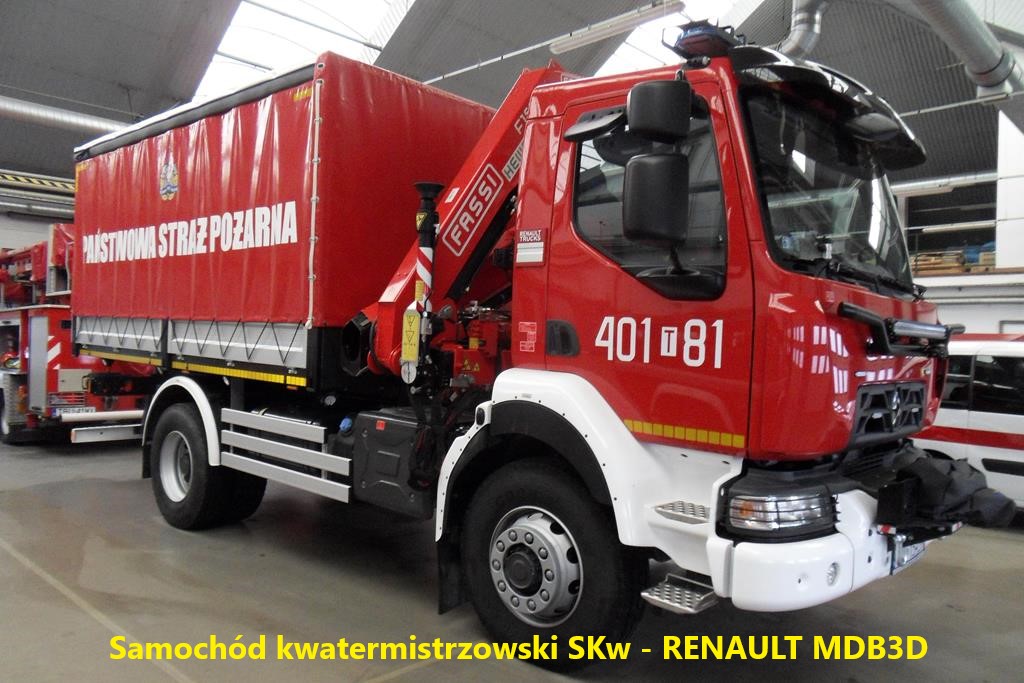 SKw Renault