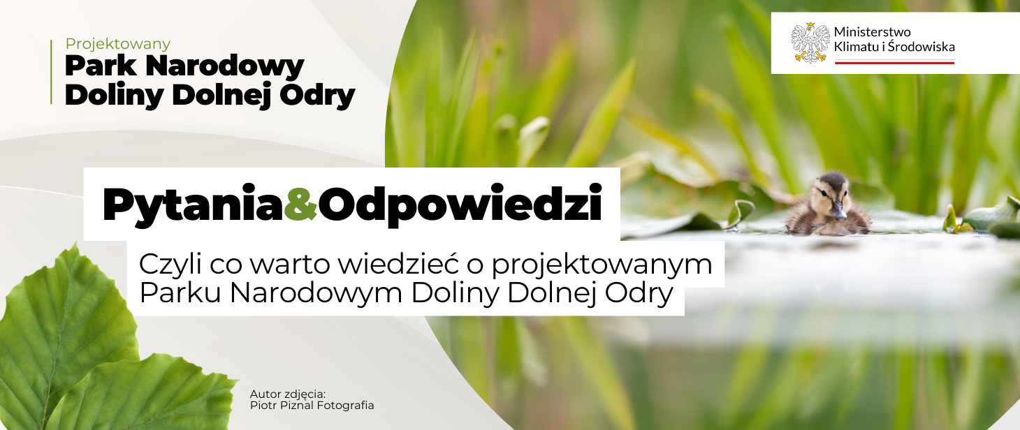 Park Narodowy Doliny Dolnej Odry