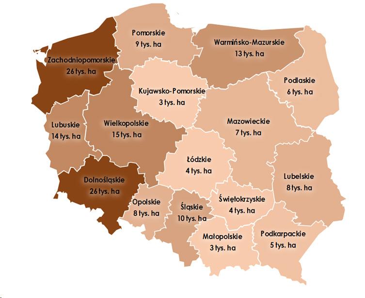 Rys. 3. Grunty do rozdysponowania (159,6 tys. ha) wg stanu na 30 czerwca 2024 r. w podziale na województwa