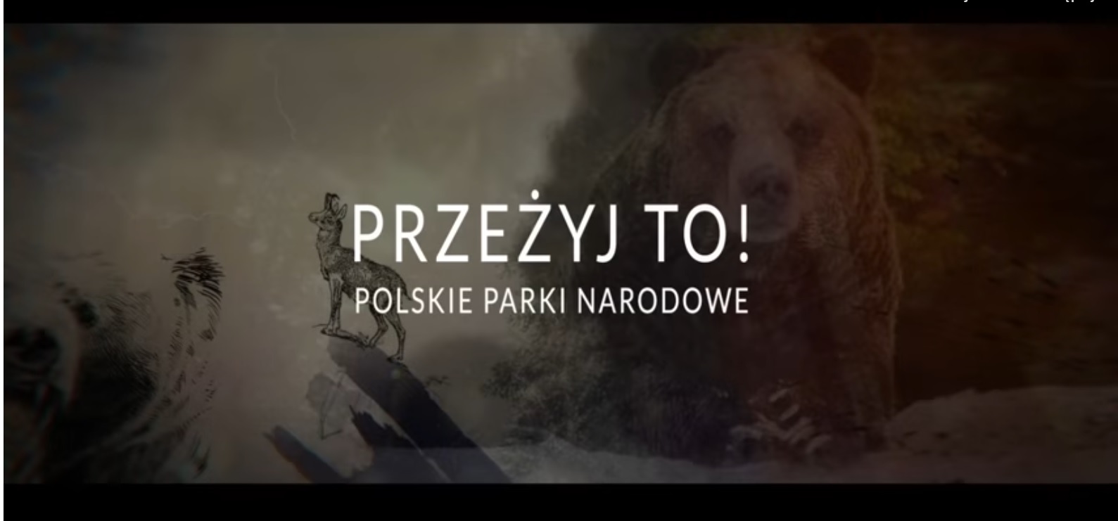 filmy Przeżyj to