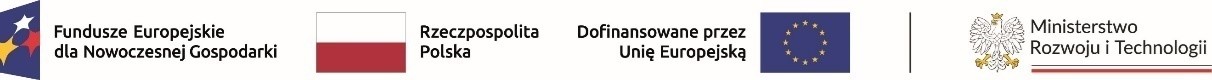 Logotyp Fundusze Europejskie dla Nowoczesnej Gospodarki, Rzeczpospolita Polska, Unia Europejska, Ministerstwo Rozwoju i Technologii