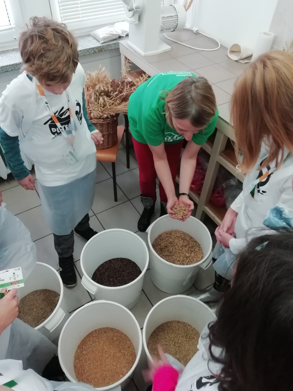 Several children are standing around four buckets half full of different types of grain. One of the girls picks up a handful of grain