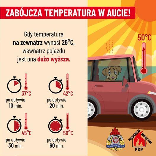 Zdjęcie przedstawia temperaturę w samochodzie w zależności od upływu czasu