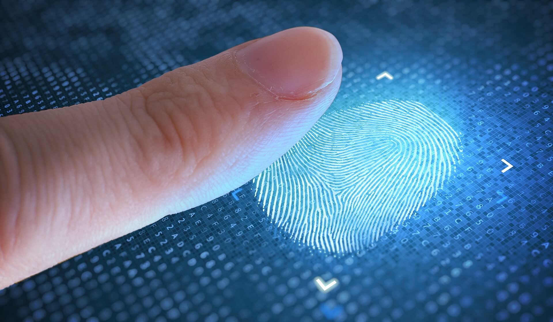 Digital fingerprint recording