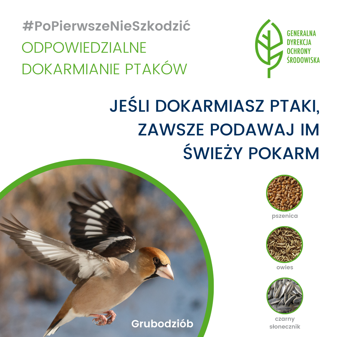 #PoPierwszeNieSzkodzić - odpowiedzialne dokarmianie ptaków