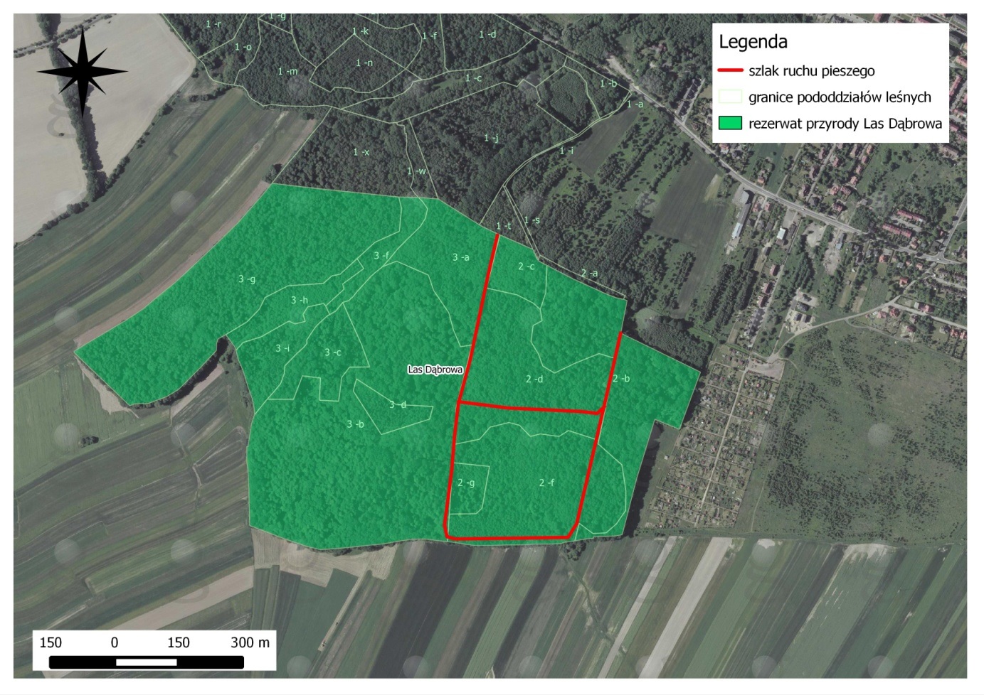 Rezerwat Las D Browa Regionalna Dyrekcja Ochrony Rodowiska W