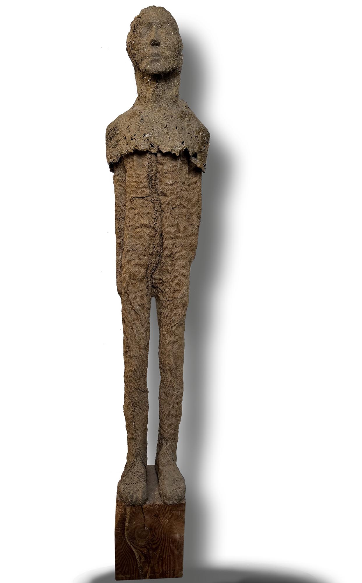 Magdalena Abakanowicz, Luna