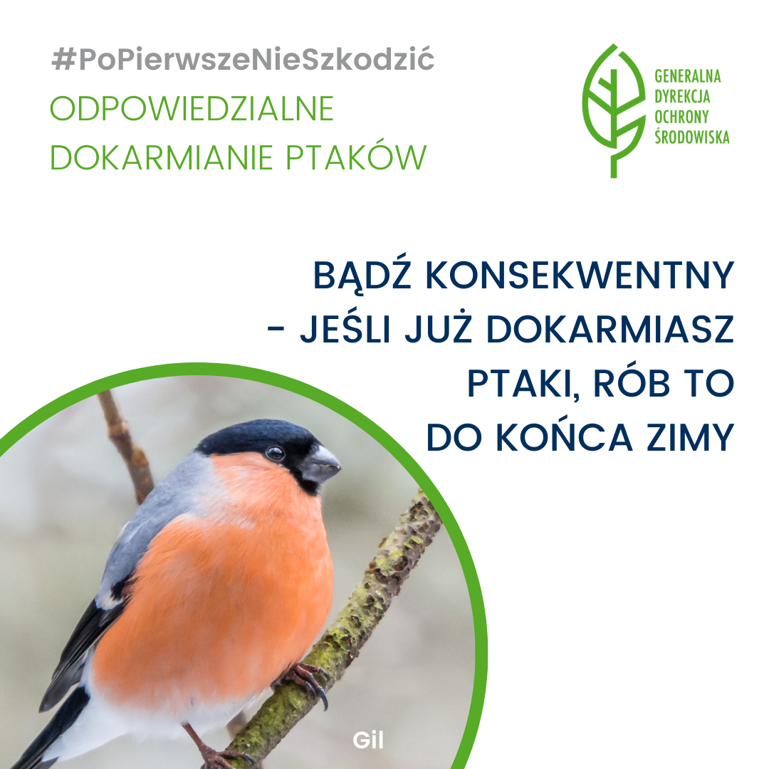 #PoPierwszeNieSzkodzić - odpowiedzialne dokarmianie ptaków