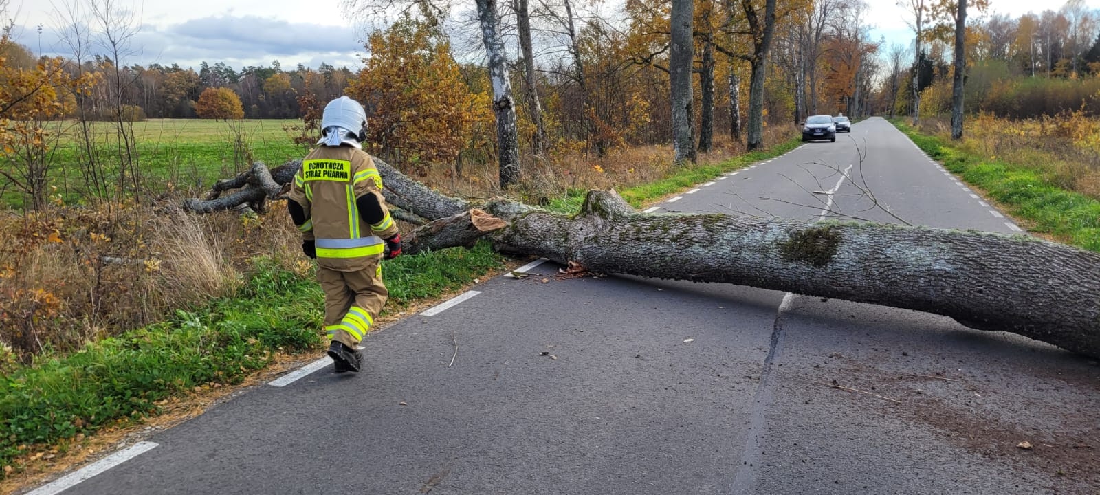 Silny wiatr dał się we znaki. Strażacy usuwali połamane drzewa