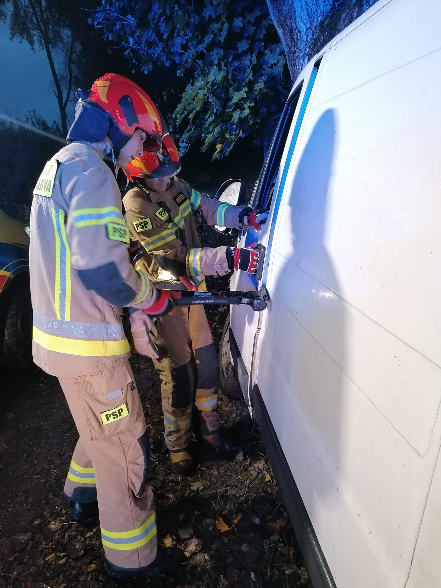 Auto dostawcze uderzyło w drzewo - gm. Braniewo