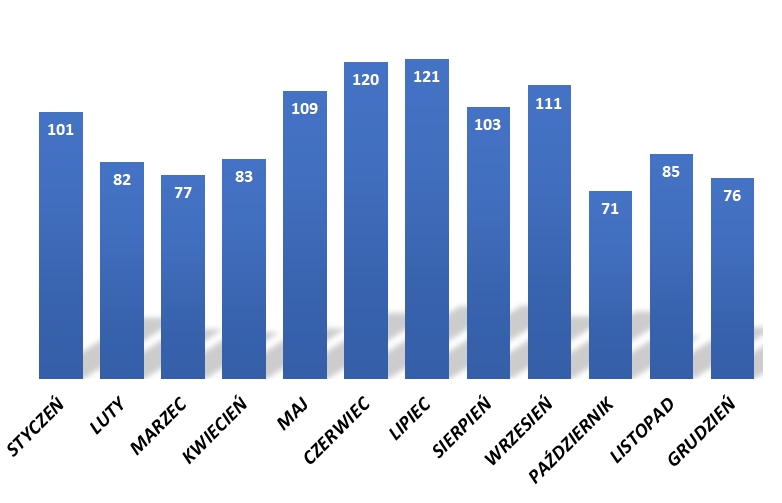 Wykres słupkowy obrazujący statystykę liczby wyjazdów w poszczególnych miesiącach w 2024 roku