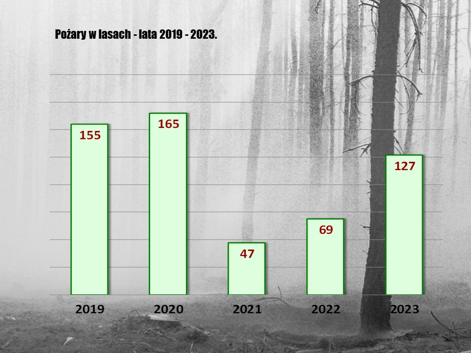 statystyka za 2023 rok