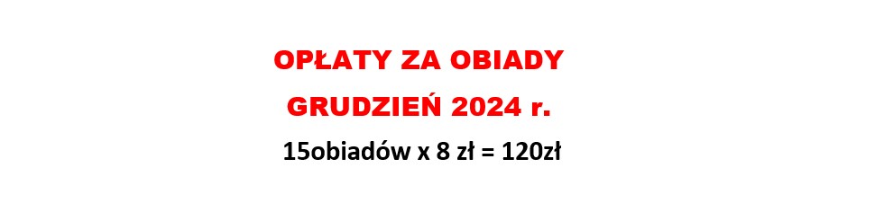 Opłaty za obiady w miesiącu grudzień 2024