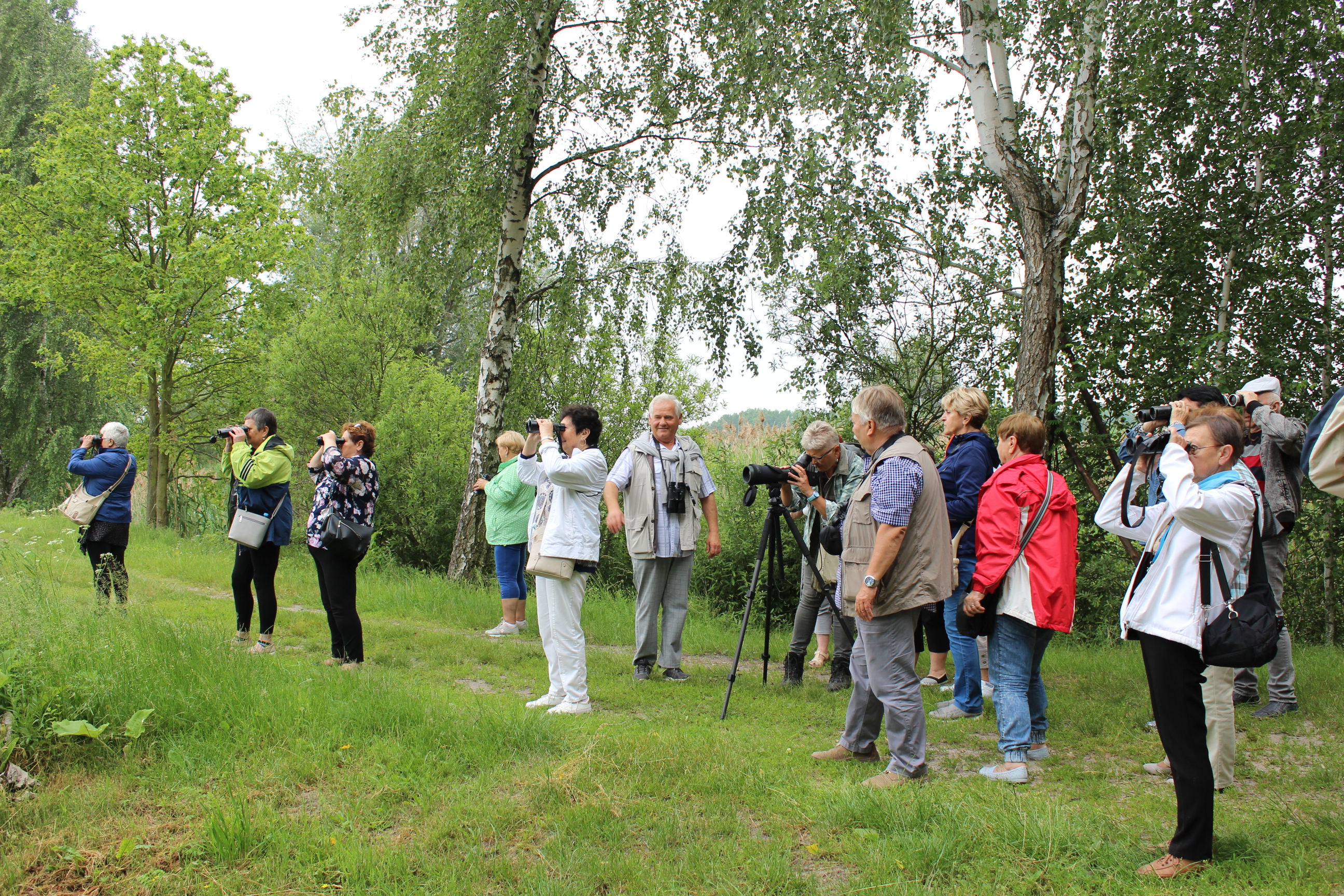 Birdwatching in the ‘Milice Ponds’ Nature Reserve – classes 'Birds, an Essential Component of Our Lives. What Can be Done to Ensure That Human Activity Does Not Harm Them?’ with Beata Orłowska, MA (in the picture).
