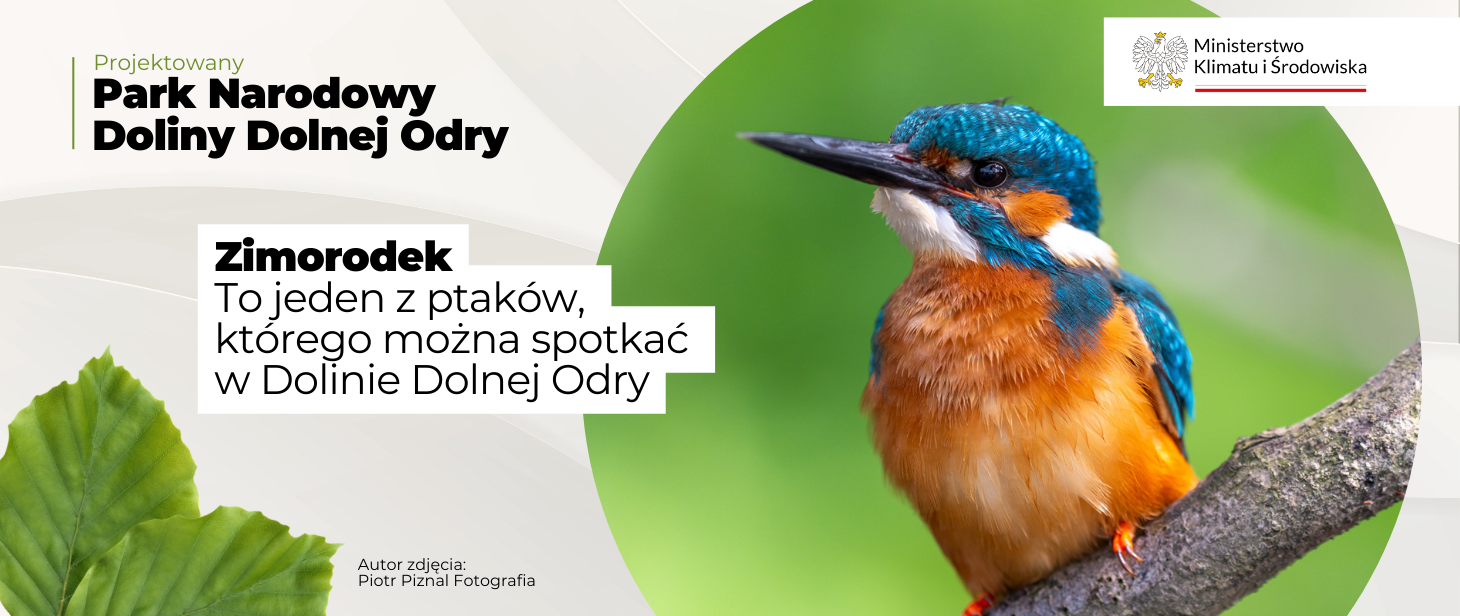 Park Narodowy Doliny Dolnej Odry