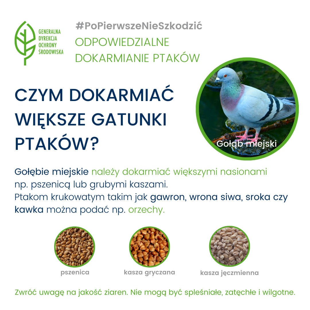 #PoPierwszeNieSzkodzić - odpowiedzialne dokarmianie ptaków