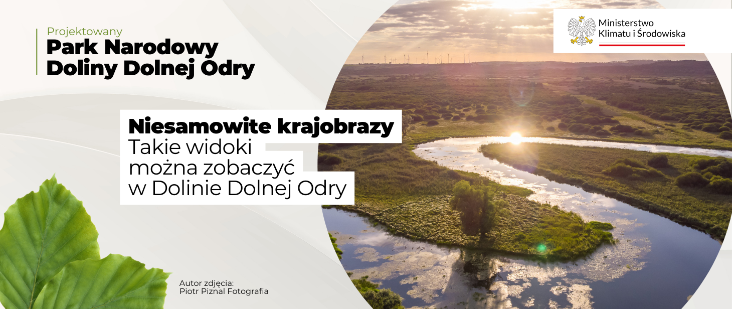 Park Narodowy Doliny Dolnej Odry