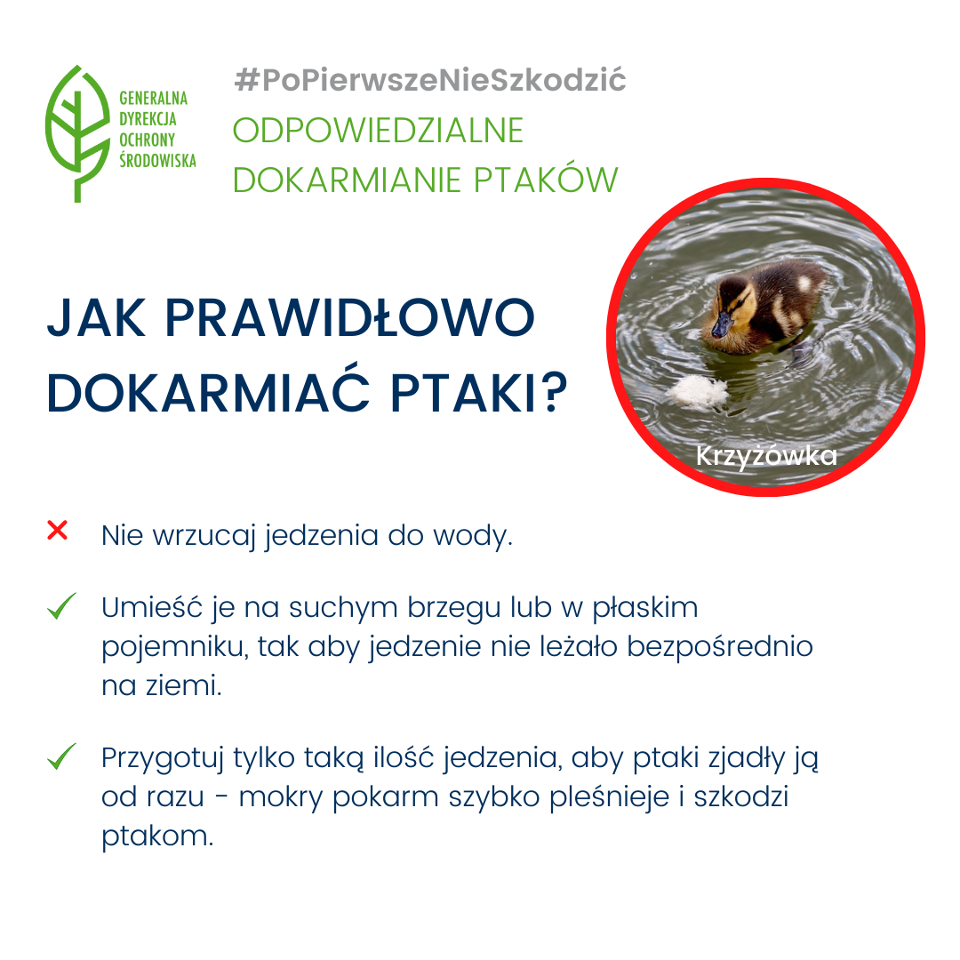 #PoPierwszeNieSzkodzić - odpowiedzialne dokarmianie ptaków