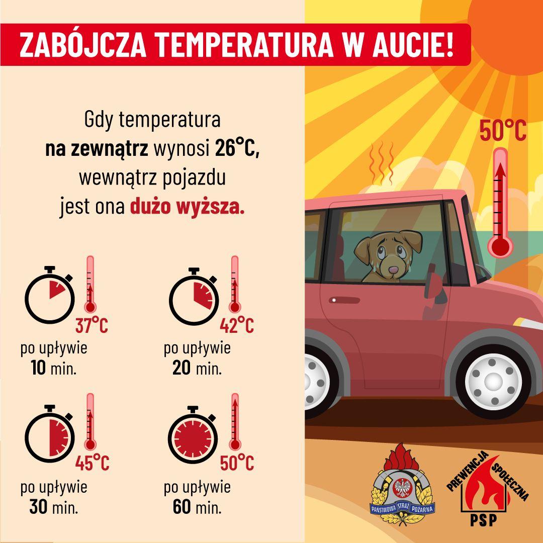 Zabójcza temperatura w aucie