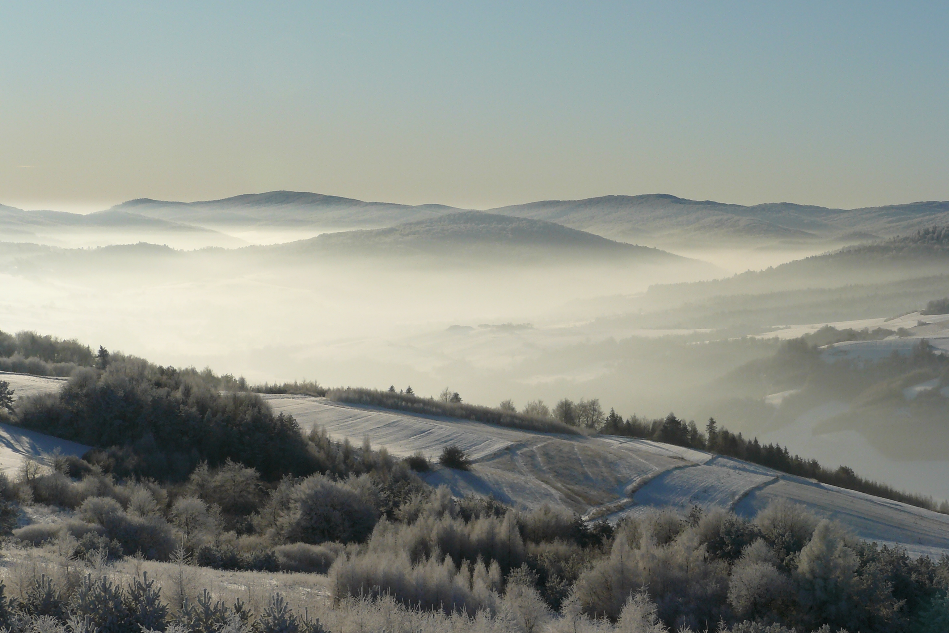 Beskid Niski z Grzywackiej Góry