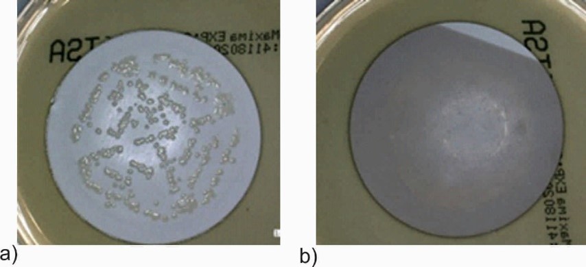 Fig.4. Bactericidal effect against Escherichia coli of TiO2+AgO-coated membranes (b) compared to an unmodified membrane (a). 