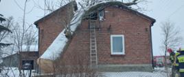 Powalone drzewo na budynek mieszkalny w miejscowości Kolosy – powiat kazimierski.