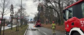 Interwencje związane z silnym wiatrem