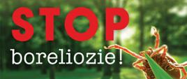 Stop boreliozie