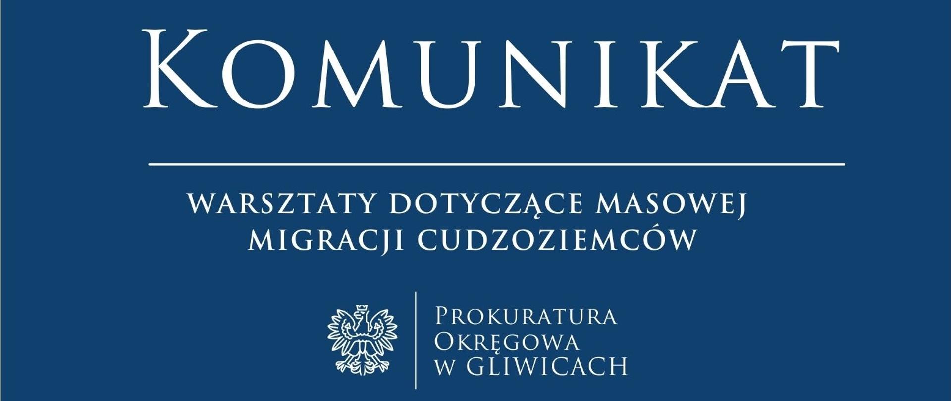 Warsztaty dotyczące masowej migracji cudzoziemców