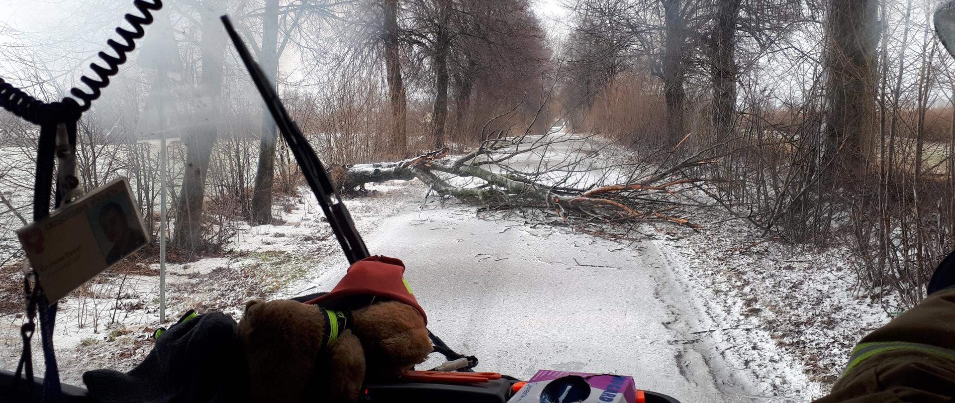 Powalone drzewo na drodze w Boleszynie. Zdjęcie wykonane w z kokpitu samochodu ratowniczo-gaśniczego