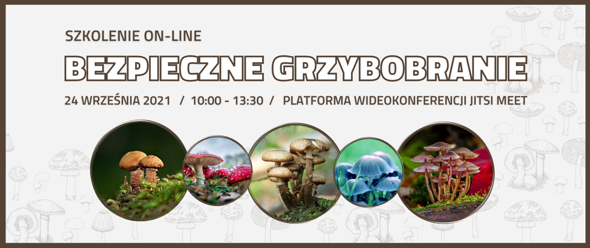 szkolenie on-line Bezpieczne grzybobranie