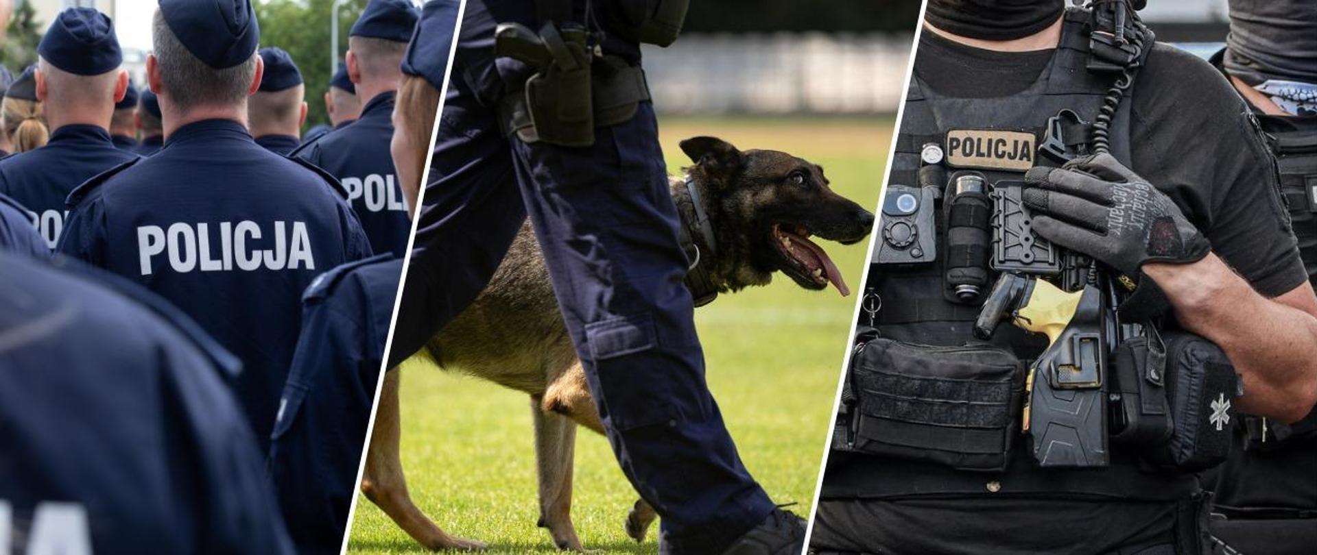 Kolaż trzech zdjęć. Pierwsze przedstawia grupę policjantów stojących tyłem w mundurach z napisem Policja, druga fotografia przedstawia maszerującego policjanta z psem. Trzecie to zbliżenie na uzbrojenie taktyczne na piersi policjanta.