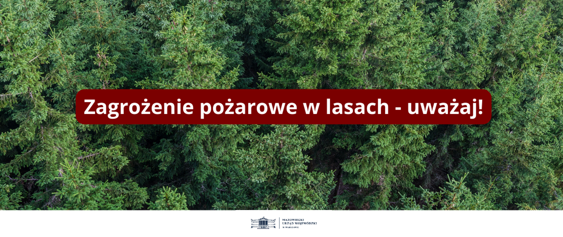 zagrożenie pożarowe w lasach - uważaj