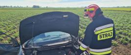 Strażacy odłączają źródło zasilania elektrycznego samochodu 