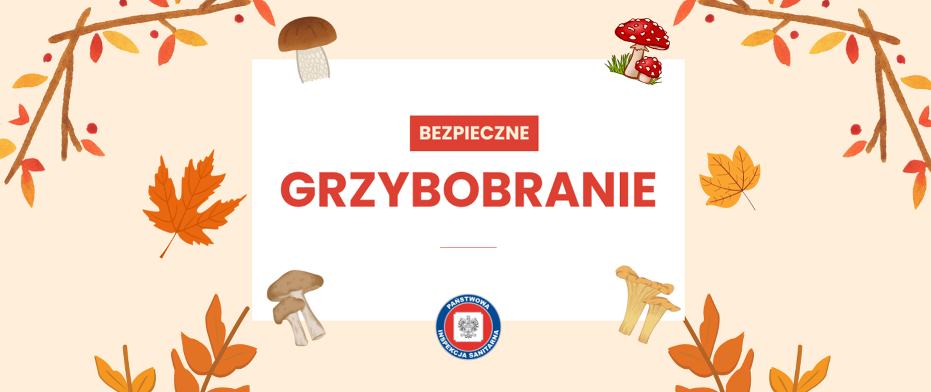 Na środku w białej ramce, tekst pisany wielkimi literami "Bezpieczne grzybobranie" - pod tekstem logo Państwowej Inspekcji Sanitarnej, w tle grzyby i jesienne liście.