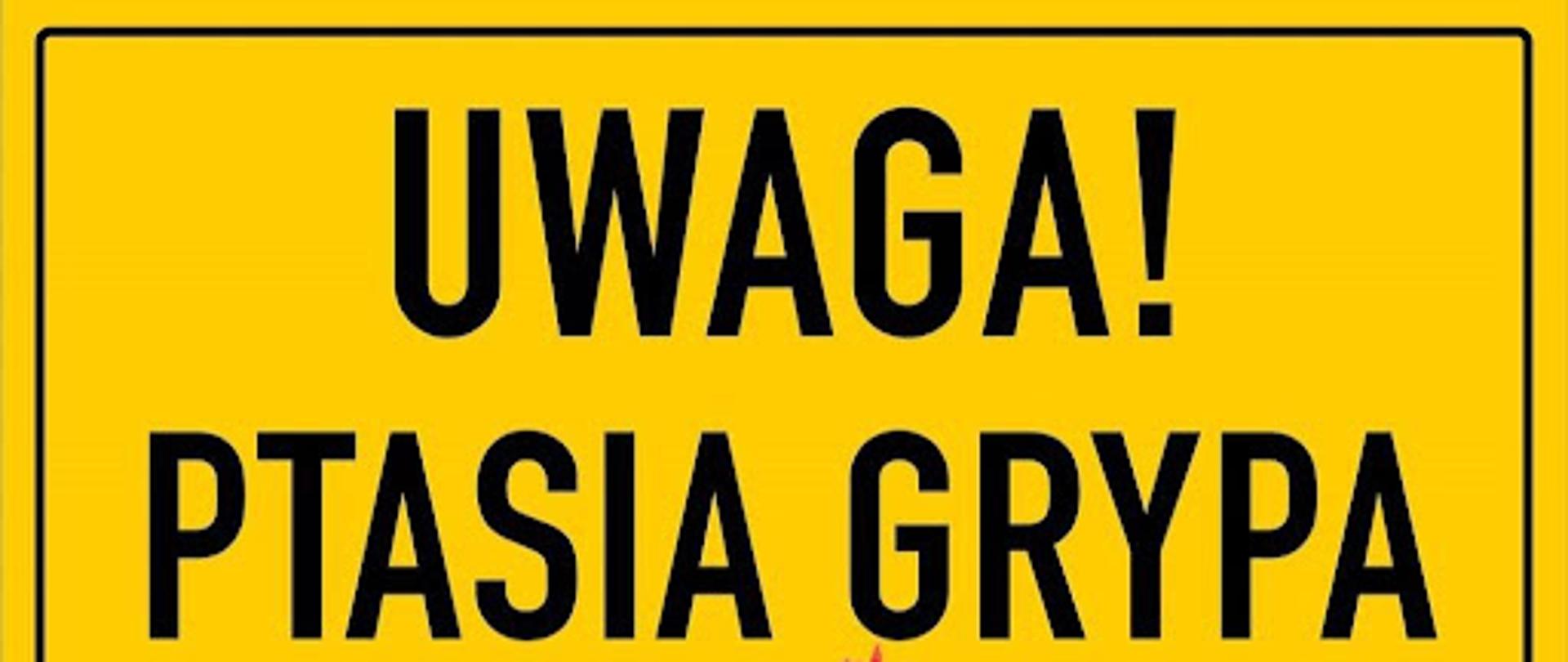 GRYPA PTAKÓW - informacja dla mieszkańców powiatu oraz osób zawodowo narażonych na kontakt z chorymi zwierzętami