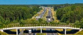 Dwujezdniowa autostrada A2, po dwa pasy ruchu w obu kierunkach. Widoczny intensywny ruch w obu kierunkach. Nad autostradą przechodzi przejście dla zwierząt gęsto porośnięte zielenią. Do obu stronach drogi rośnie gęsty las.