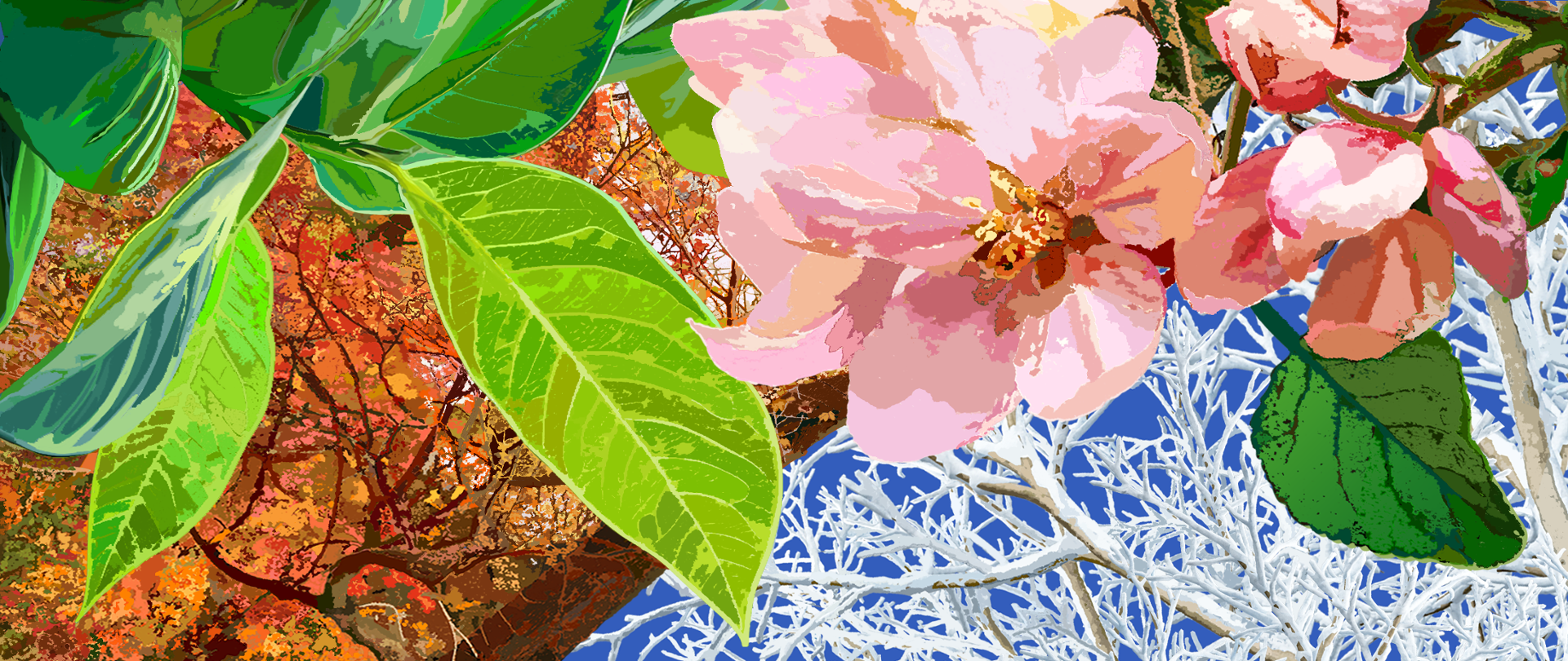 kolaż złożony z zielonego liścia, różowego kwiatu, oszronionych gałęzi i jesiennych liści na drzewie