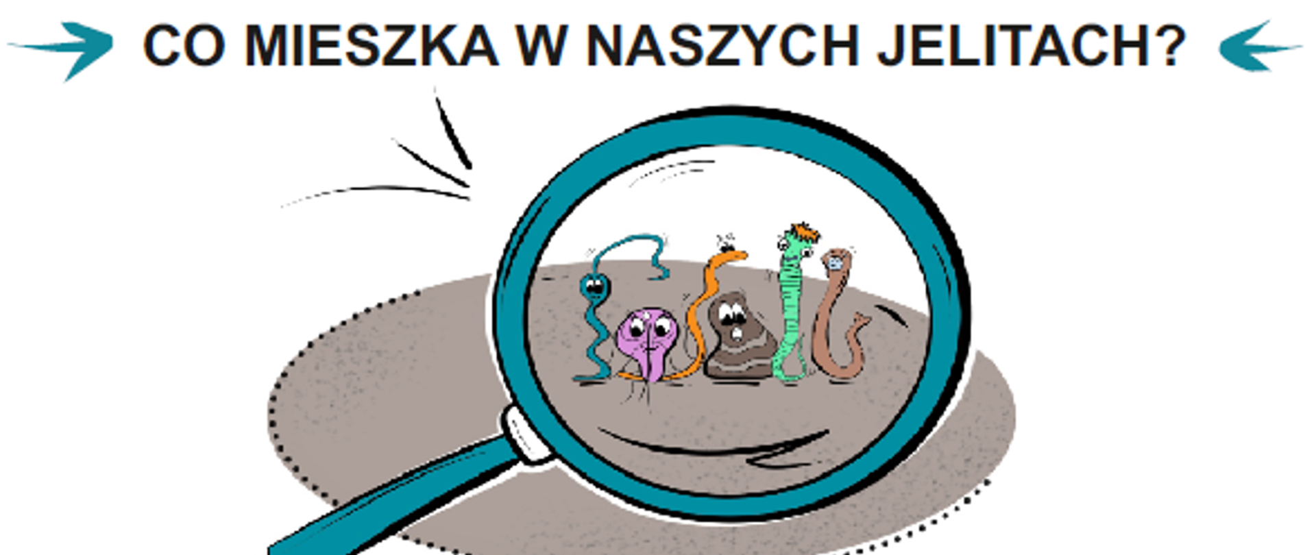 przegląd parazytologiczny