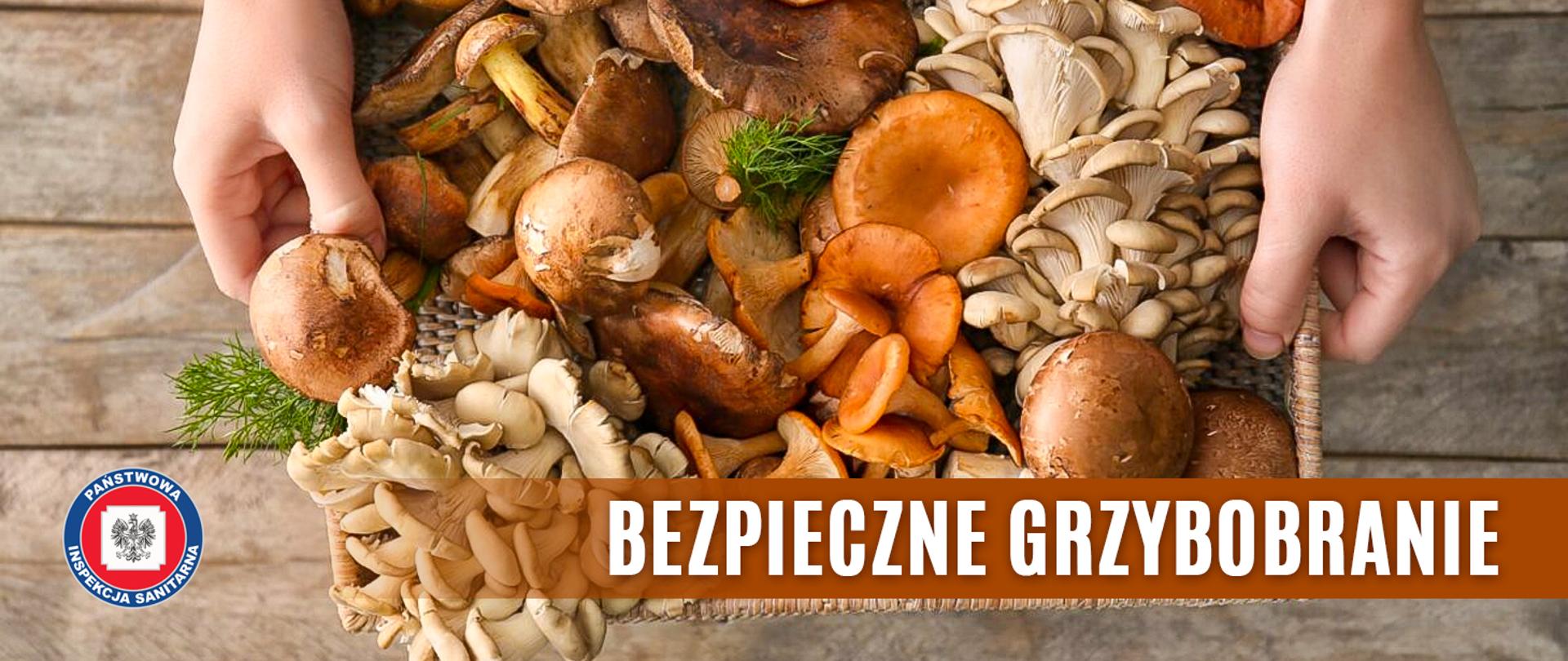 Bezpieczne grzybobranie