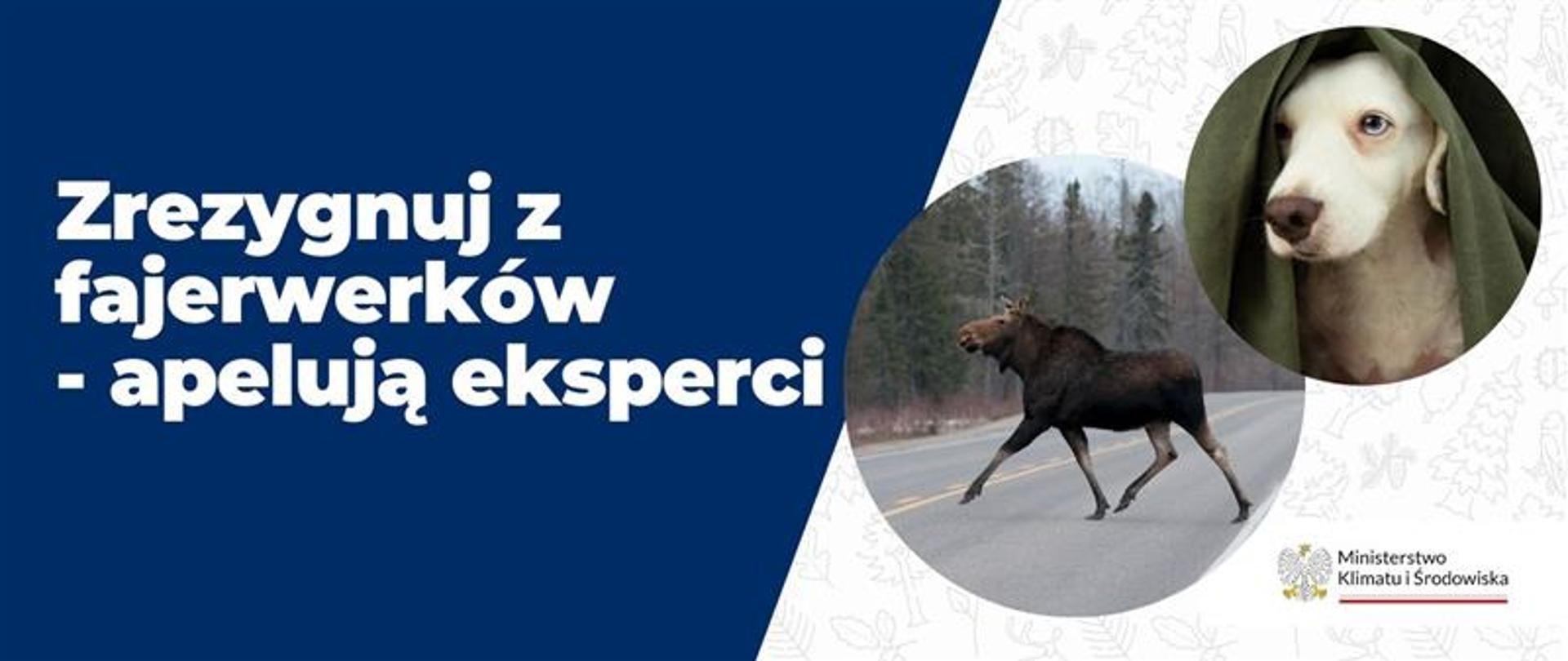 Zrezygnuj z fajerwerków - apel ekspertów.