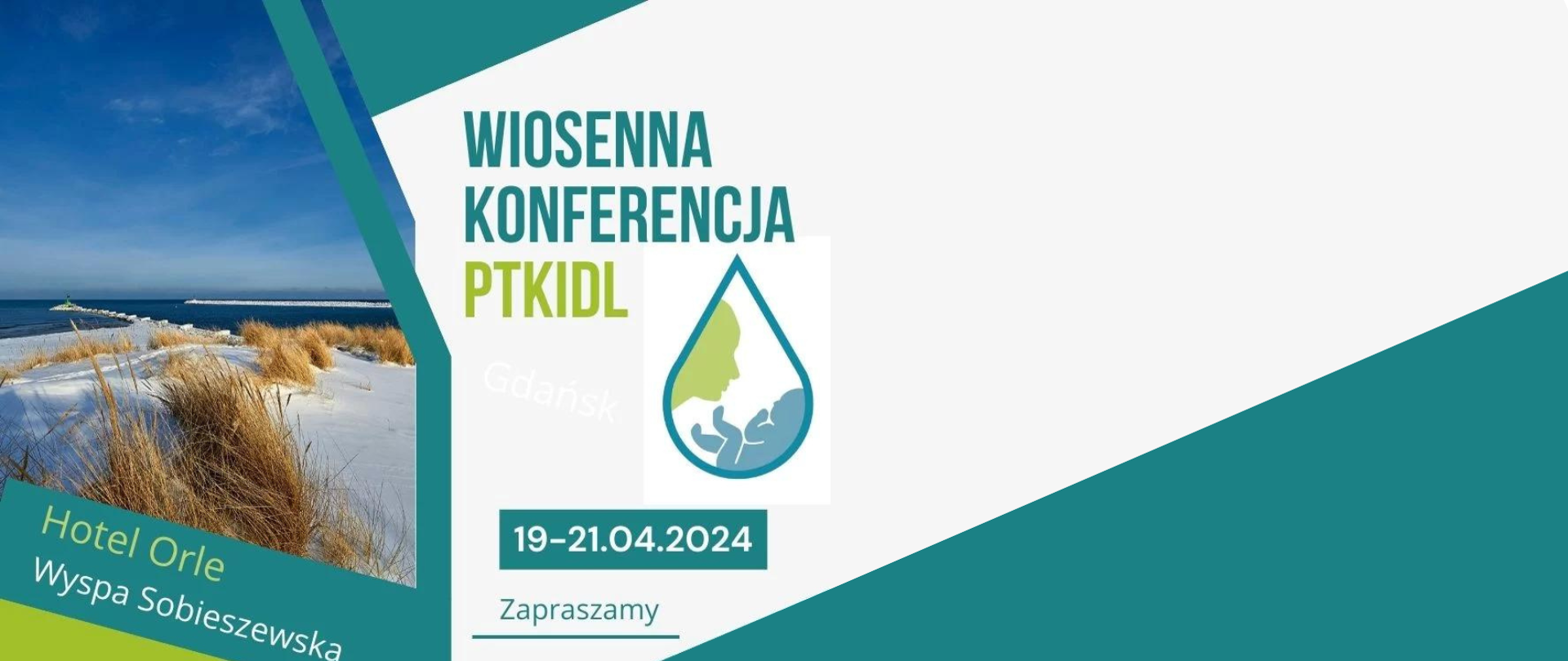 Baner konferencji "Wiosenna konferencja PTKIDL"